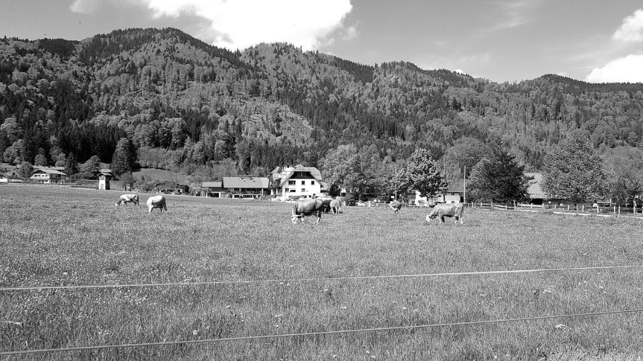 S'Quartier Am Schliersee Eksteriør bilde